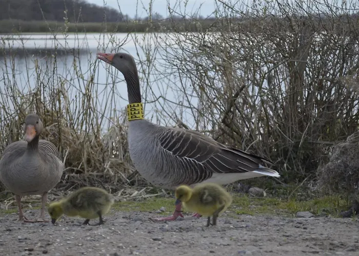 Mona Lisa Wellness & Otel 3*