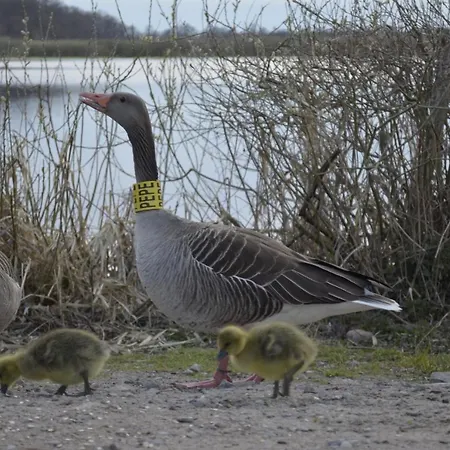 Mona Lisa Wellness & Ξενοδοχείο 3*