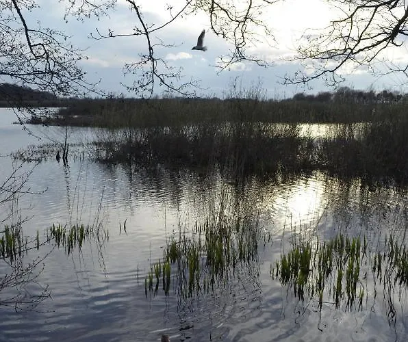 Mona Lisa Wellness&spa 3* Kołobrzeg